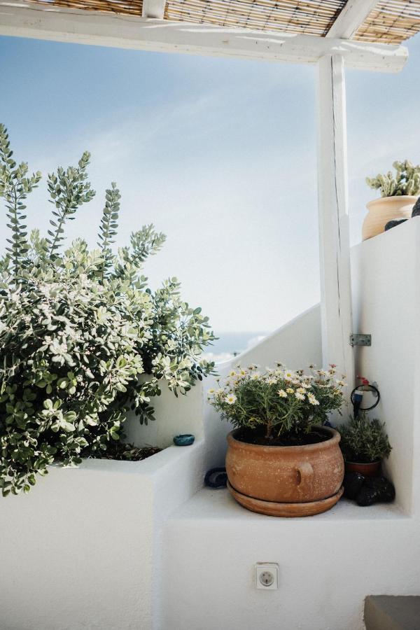Villa Kalyva Cycladic House - Oia  Esterno foto
